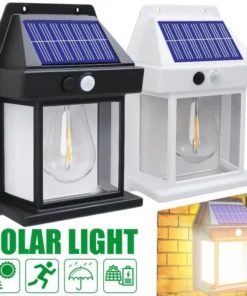Solar Power Motion Sensor Light